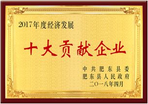 熱烈慶祝安徽皖信人力資源管理榮獲肥東縣經(jīng)濟(jì)發(fā)展大會(huì)雙項(xiàng)獎(jiǎng)，樹立人力資源服務(wù)新標(biāo)桿
